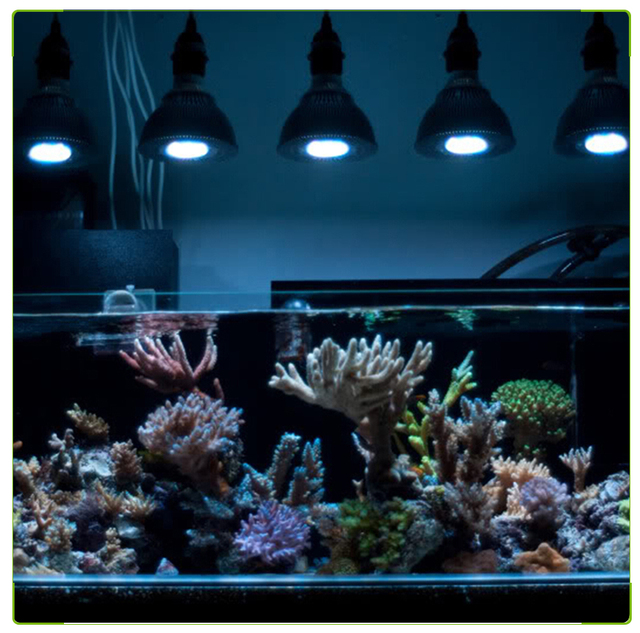 Lampa LED do akwarium 54W - oświetlenie ryb, roślin i raf koralowych, morska woda, algi - Wianko - 1