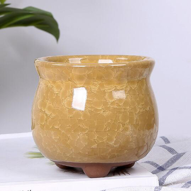 Kreatywny wazon Ice Crack - soczyste doniczki biurowe, pojemnik do przechowywania roślin Bonsai i kwiatów dla ogrodowego wystrój domu - Wianko - 5