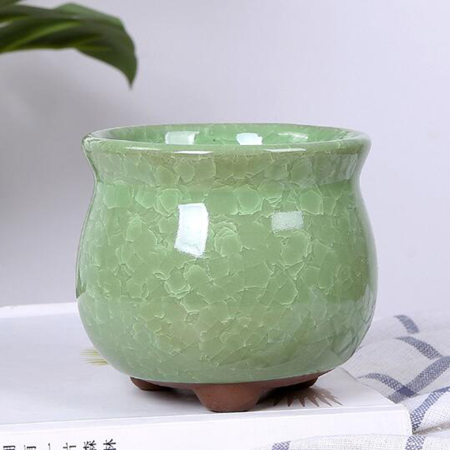 Kreatywny wazon Ice Crack - soczyste doniczki biurowe, pojemnik do przechowywania roślin Bonsai i kwiatów dla ogrodowego wystrój domu - Wianko - 17