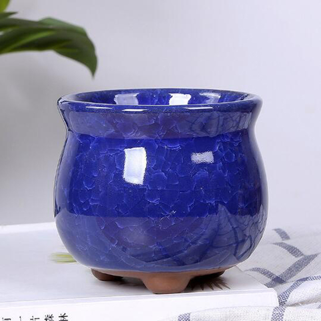 Kreatywny wazon Ice Crack - soczyste doniczki biurowe, pojemnik do przechowywania roślin Bonsai i kwiatów dla ogrodowego wystrój domu - Wianko - 16