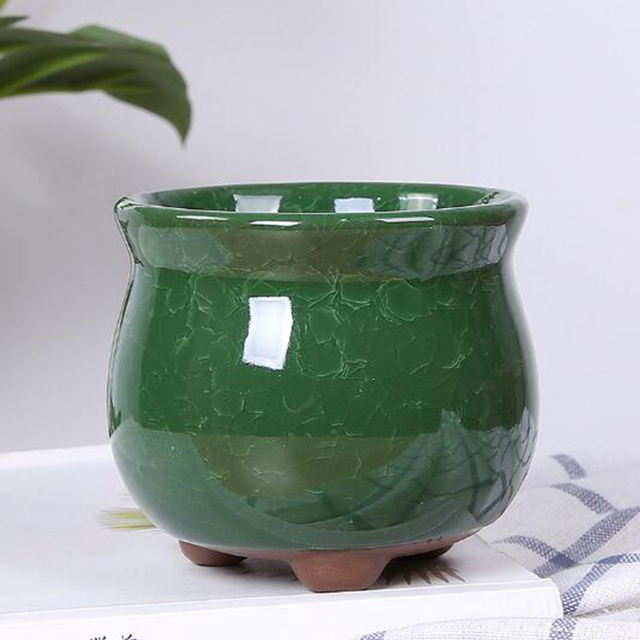 Kreatywny wazon Ice Crack - soczyste doniczki biurowe, pojemnik do przechowywania roślin Bonsai i kwiatów dla ogrodowego wystrój domu - Wianko - 13