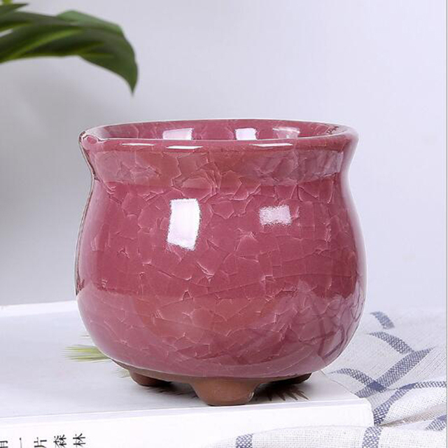 Kreatywny wazon Ice Crack - soczyste doniczki biurowe, pojemnik do przechowywania roślin Bonsai i kwiatów dla ogrodowego wystrój domu - Wianko - 18