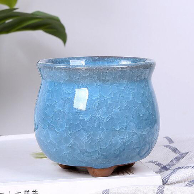 Kreatywny wazon Ice Crack - soczyste doniczki biurowe, pojemnik do przechowywania roślin Bonsai i kwiatów dla ogrodowego wystrój domu - Wianko - 8
