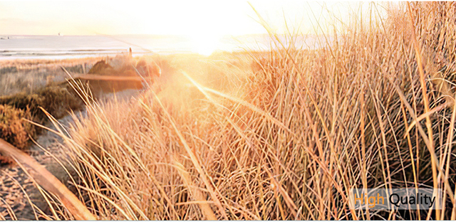 Płótno z drukowanym obrazem krajobrazu zachodu słońca na polu trawy - dekoracja skandynawska do domu - Wianko - 8