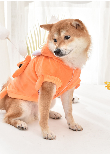 Kombinezon kostium zimowy dla psów w stylu kreskówki - smok latający Halloween - Wianko - 7