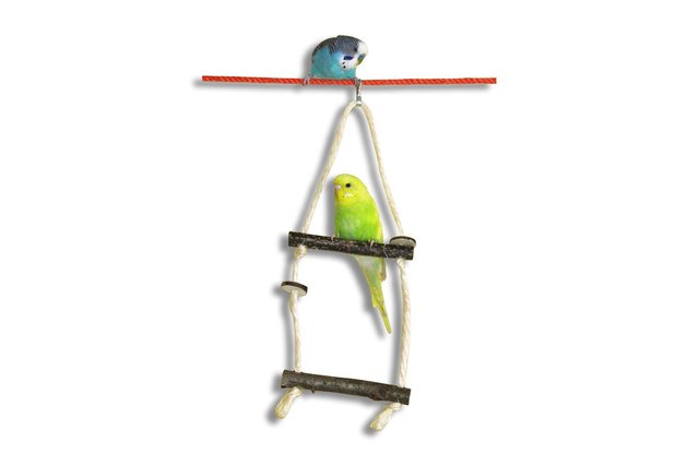 Drewniana zabawka dla ptaków - stojak, huśtawka, most, gałąź drzewa - zestaw 10 sztuk - Wianko - 2