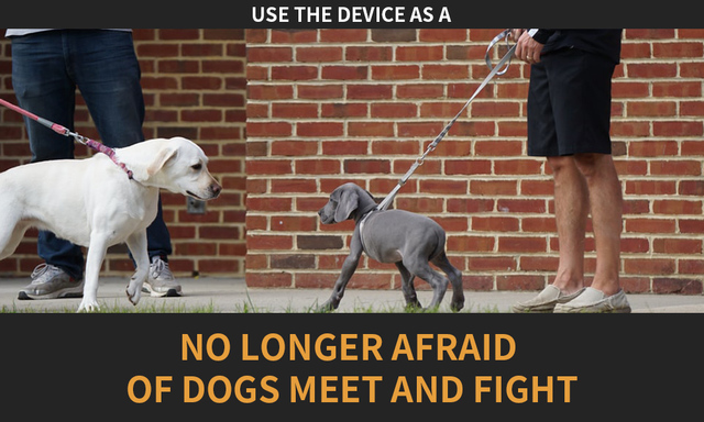 Anty hałas urządzenie przeciwko szczekaniu - odstraszacz ultradźwiękowy dla psów z 3 trybami, zasilany przez USB i akumulator - Wianko - 19