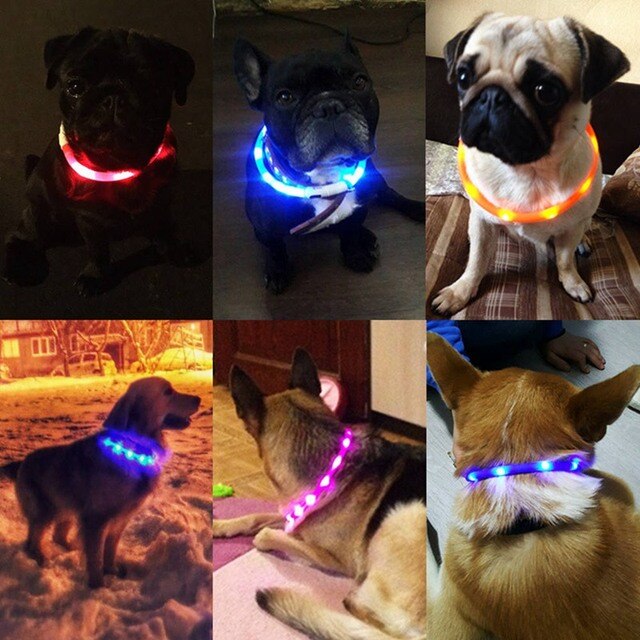 Pet LED ładowane na USB obroża świecąca dla bezpieczeństwa nocą - wodoodporna obroża dla zwierząt domowych, idealna dla małych psów+ smycz LED - Wianko - 4