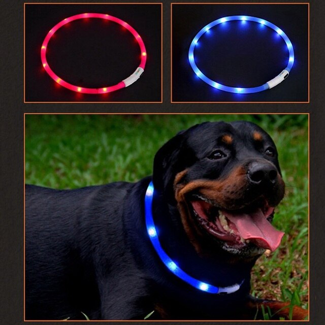 Pet LED ładowane na USB obroża świecąca dla bezpieczeństwa nocą - wodoodporna obroża dla zwierząt domowych, idealna dla małych psów+ smycz LED - Wianko - 3