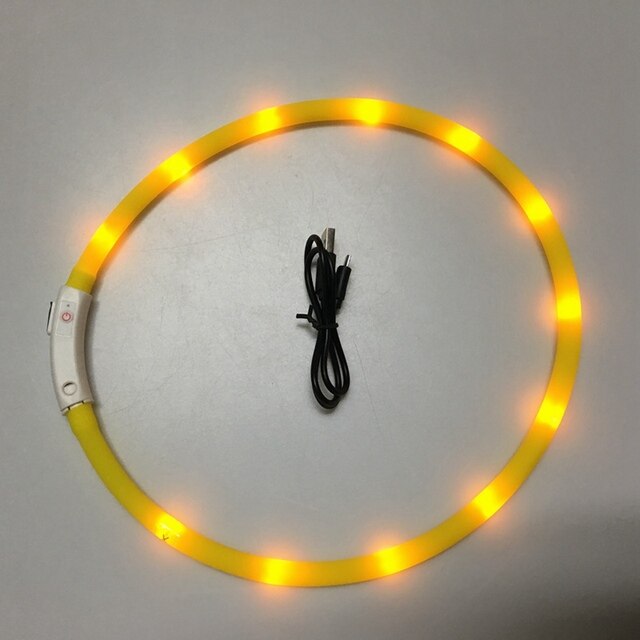 Pet LED ładowane na USB obroża świecąca dla bezpieczeństwa nocą - wodoodporna obroża dla zwierząt domowych, idealna dla małych psów+ smycz LED - Wianko - 11
