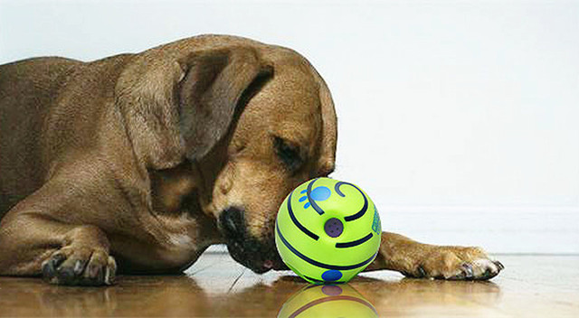 Interaktywna piłka dla psa 14 cm - zabawa, dźwięki Giggle, gryzienie, Wobble Wag, trening zwierząt domowych, szczeniak, sport - Wianko - 5