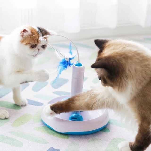 Automatyczna zabawka dla kota - śmieszny kijek z obrotem 360 stopni i interakcją z piórkami - Wianko - 5