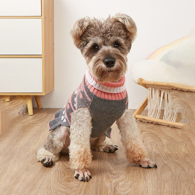 Sweter dla psa z nadrukiem liści kotów - moda zimowa dla małych średnich szczeniąt - Wianko - 6