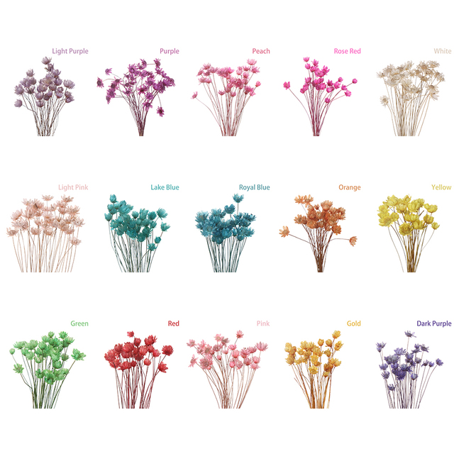 Suszone kwiaty Mini Daisy - 30 sztuk, 15 kolorów - Wianko - 3