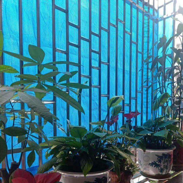 Nowa siatka cieniująca 90% niebieska 8Pin - przeciwsłoneczna osłona z HDPE anty-UV do ogrodu, stoczni i balkonu - Wianko - 13