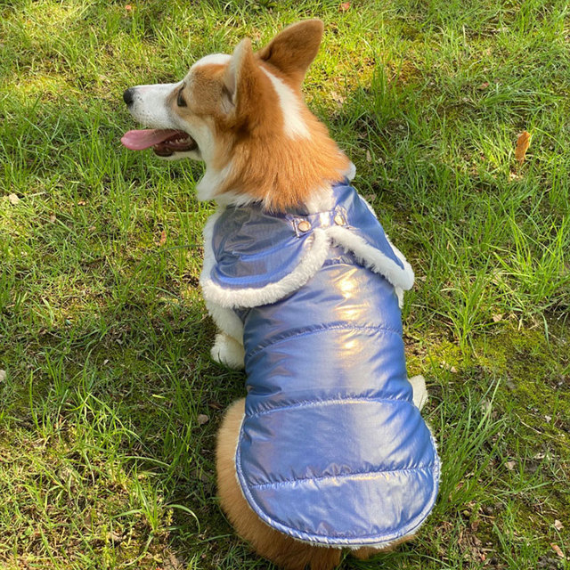 Zimowy płaszcz dla psa - nowość! Ciepła kurtka dla szczeniaka, świetna ochrona przed zimą. Słodki kostium dla małych psów - mopsów i buldogów francuskich - Wianko - 9