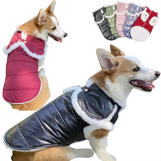 Zimowy płaszcz dla psa - nowość! Ciepła kurtka dla szczeniaka, świetna ochrona przed zimą. Słodki kostium dla małych psów - mopsów i buldogów francuskich - Wianko - 2