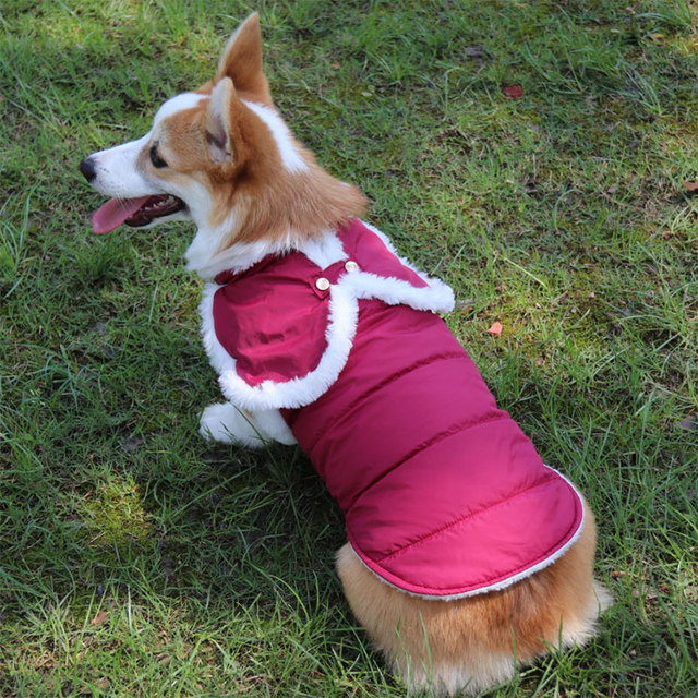 Zimowy płaszcz dla psa - nowość! Ciepła kurtka dla szczeniaka, świetna ochrona przed zimą. Słodki kostium dla małych psów - mopsów i buldogów francuskich - Wianko - 32