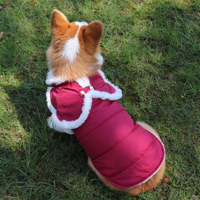 Zimowy płaszcz dla psa - nowość! Ciepła kurtka dla szczeniaka, świetna ochrona przed zimą. Słodki kostium dla małych psów - mopsów i buldogów francuskich - Wianko - 8