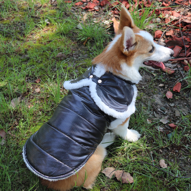Zimowy płaszcz dla psa - nowość! Ciepła kurtka dla szczeniaka, świetna ochrona przed zimą. Słodki kostium dla małych psów - mopsów i buldogów francuskich - Wianko - 43