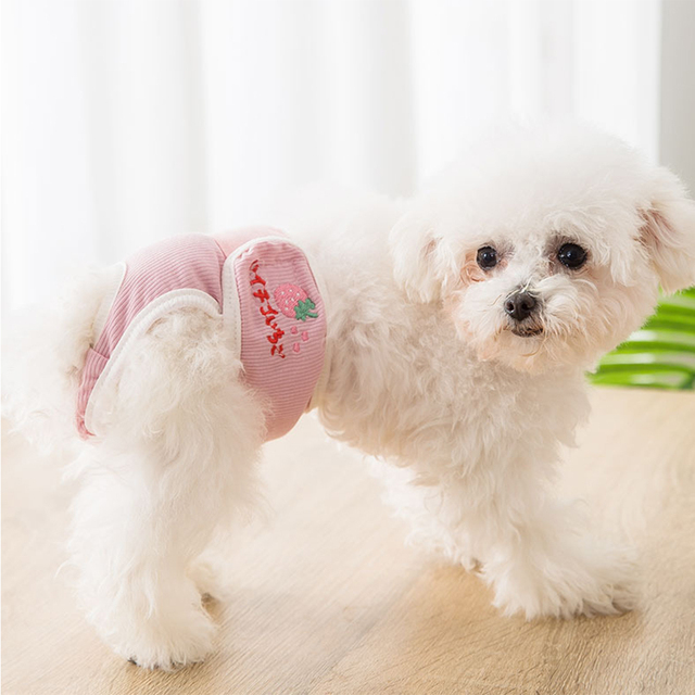Zmywalne spodnie fizjologiczne dla psów - wielokrotnego użytku, dla suczek - Wianko - 3