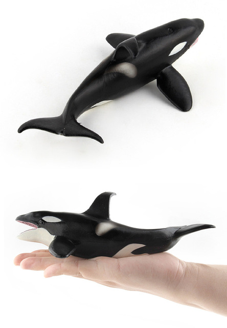 Figurka modelu zabójcy wielorybów - 20 cm, PVC, symulacyjne, życie morskie - Wianko - 2