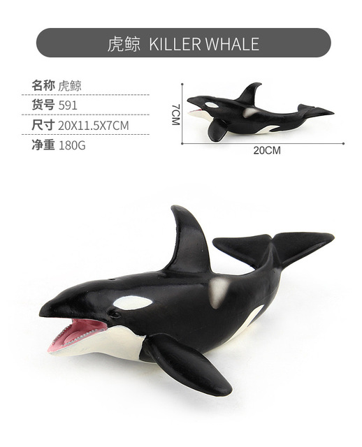 Figurka modelu zabójcy wielorybów - 20 cm, PVC, symulacyjne, życie morskie - Wianko - 3