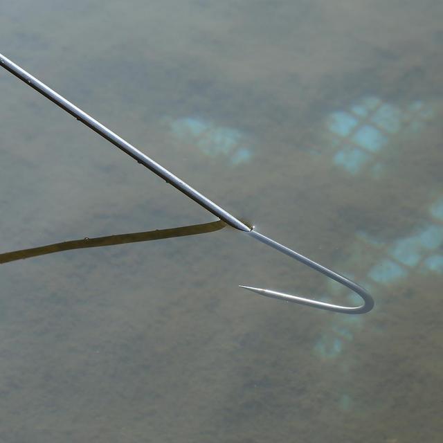 Profesjonalny teleskopowy rybi gaf do wędkowania lodem - 60/90/120 cm, EVA Spear Hook Tackle (1 sztuka) - Wianko - 7
