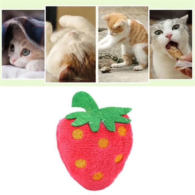 Pluszowy kociak w kształcie owocu-zabawka dla kota z kocimiętką - Wianko - 23