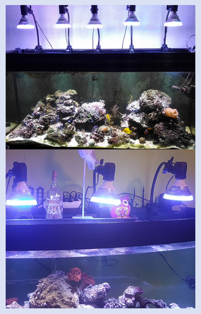 Aquasky 54W Full Spectrum LED Aquarium Lighting - Oświetlenie LED Full Spectrum 54W do akwarium, korale i rośliny - Wianko - 3