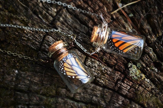 Skrzydła motyla - prawdziwe suszone Moth, 3D okazy, na pierścień/kolczyki/naszyjnik - Wianko - 8