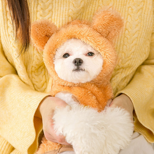 Urocza kurtka zimowa dla małych psów – miękka, pomorska bluza z kapturem dla szczeniąt ras Shih Tzu, Chihuahua i York - Wianko - 5