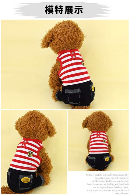 Czteronożne ubranie wiosenne/letnie dla psa Teddy pudel - mała bluza szczeniaka - Wianko - 4