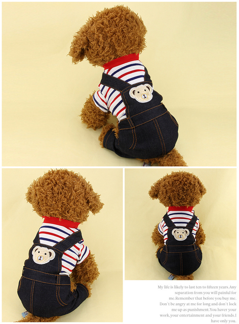 Czteronożne ubranie wiosenne/letnie dla psa Teddy pudel - mała bluza szczeniaka - Wianko - 6