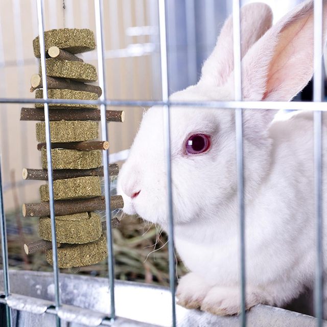 Zabawka do żucia Cookie z trawą, jabłkiem i zębami dla małych zwierząt - Wianko - 7