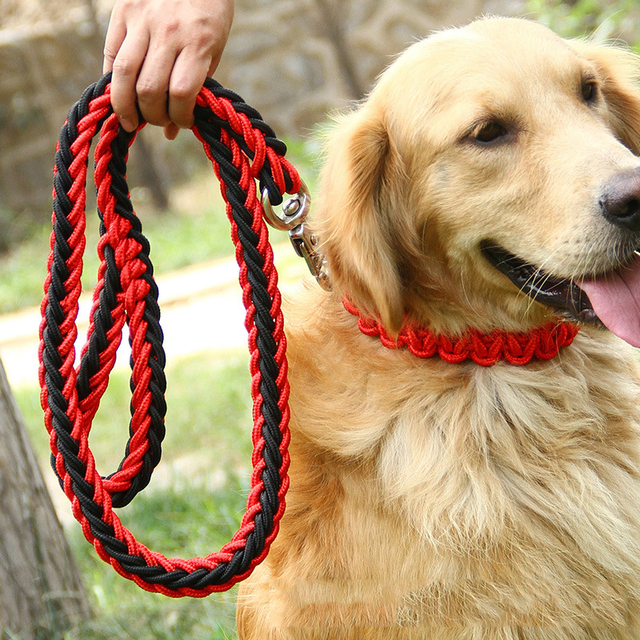 Mocna smycz Heavy Duty dla dużych psów - nylonowy sznur, okrągły, dla Whippetów i Greyhoundów - Wianko - 7