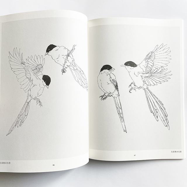 Nauka rysowania linii przez analogię - podręcznik kolorowanki dla dorosłych z obrazami ptaków - Wianko - 8