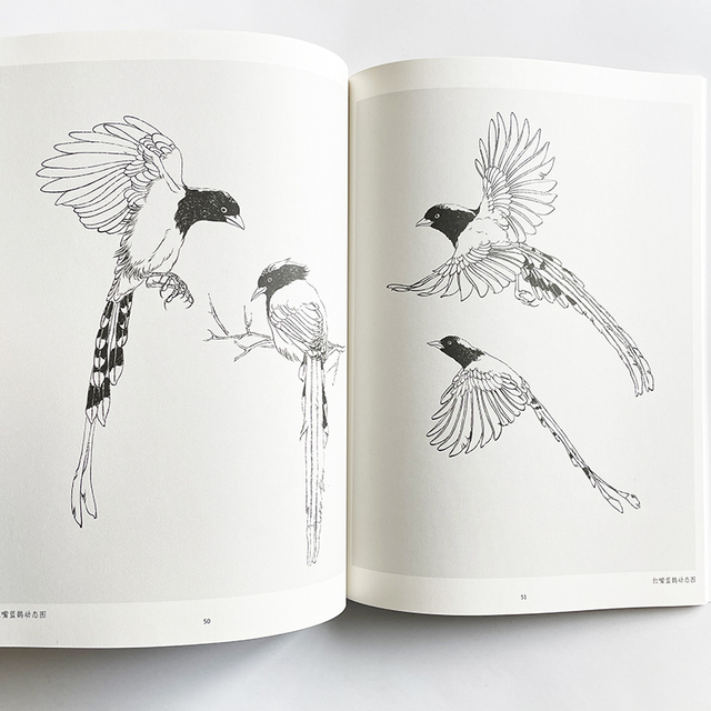 Nauka rysowania linii przez analogię - podręcznik kolorowanki dla dorosłych z obrazami ptaków - Wianko - 9