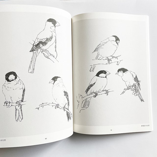 Nauka rysowania linii przez analogię - podręcznik kolorowanki dla dorosłych z obrazami ptaków - Wianko - 10
