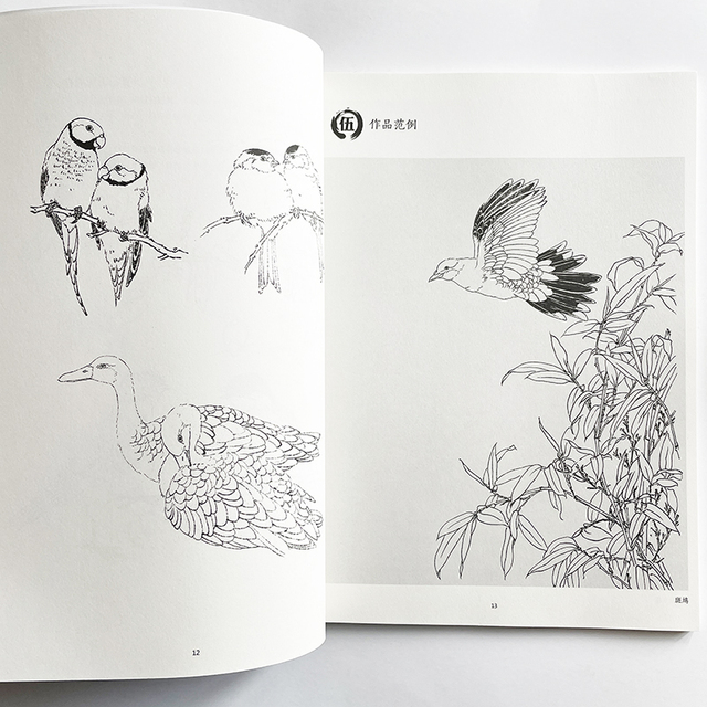 Nauka rysowania linii przez analogię - podręcznik kolorowanki dla dorosłych z obrazami ptaków - Wianko - 3