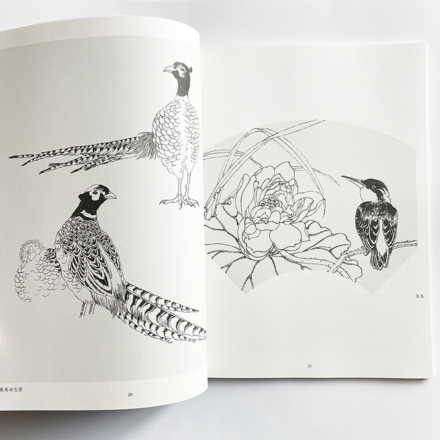 Nauka rysowania linii przez analogię - podręcznik kolorowanki dla dorosłych z obrazami ptaków - Wianko - 5