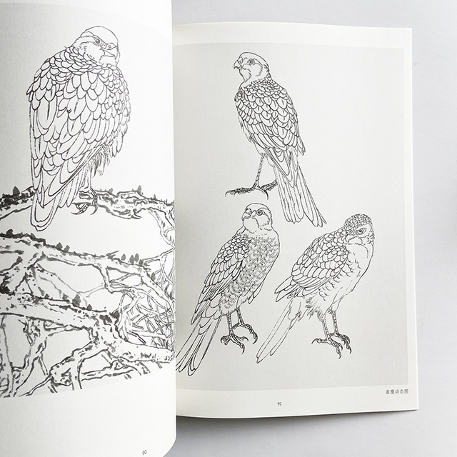 Nauka rysowania linii przez analogię - podręcznik kolorowanki dla dorosłych z obrazami ptaków - Wianko - 12