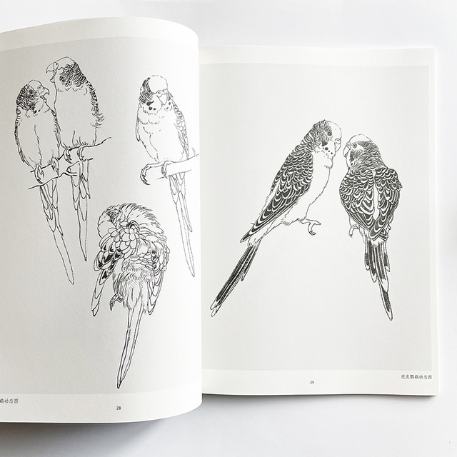 Nauka rysowania linii przez analogię - podręcznik kolorowanki dla dorosłych z obrazami ptaków - Wianko - 6