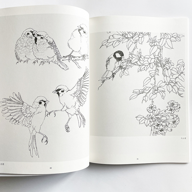 Nauka rysowania linii przez analogię - podręcznik kolorowanki dla dorosłych z obrazami ptaków - Wianko - 7