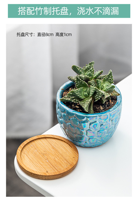 Soczysty kwiat garnek ceramiczny z galwanizacją marmurowego wzoru i kreatywną rośliną dla pulpitów i balkonów mały garnek - Wianko - 4