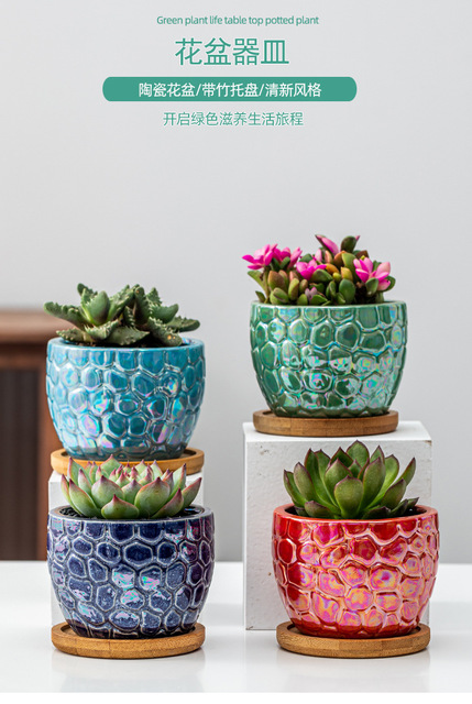 Soczysty kwiat garnek ceramiczny z galwanizacją marmurowego wzoru i kreatywną rośliną dla pulpitów i balkonów mały garnek - Wianko - 1