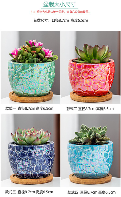 Soczysty kwiat garnek ceramiczny z galwanizacją marmurowego wzoru i kreatywną rośliną dla pulpitów i balkonów mały garnek - Wianko - 5