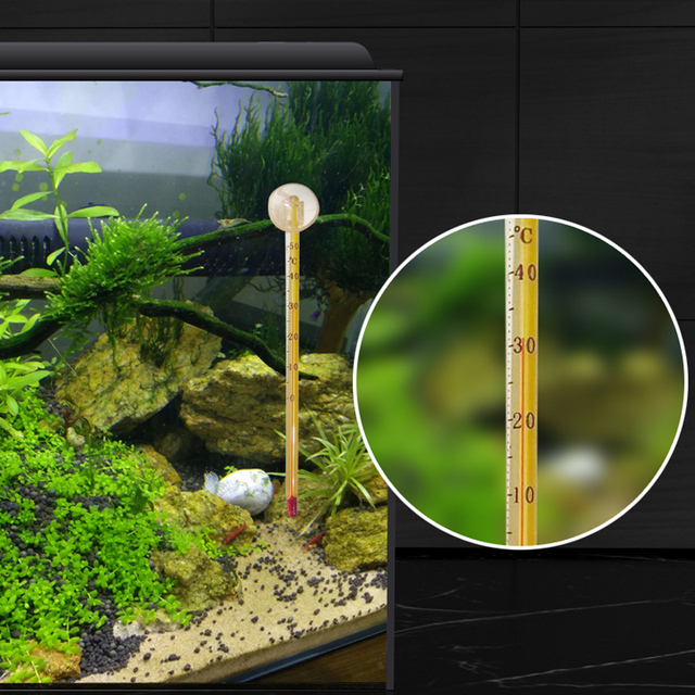 Akwarium szklane z termometrem, dedykowane dla trawy, do zbiornika morskiego - Wianko - 6