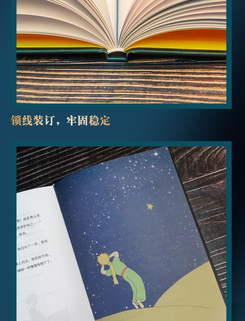 Książka przygodowa Mały Książę - chińska literatura dla dzieci - Wianko - 7