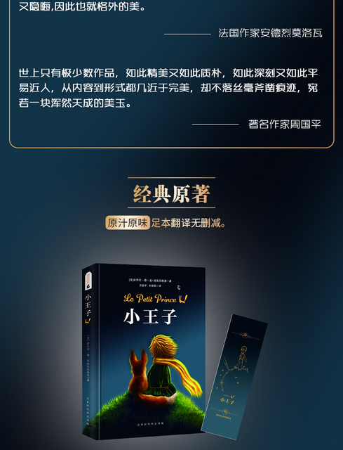 Książka przygodowa Mały Książę - chińska literatura dla dzieci - Wianko - 3